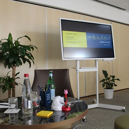 Golden Tulip Roissy Witz